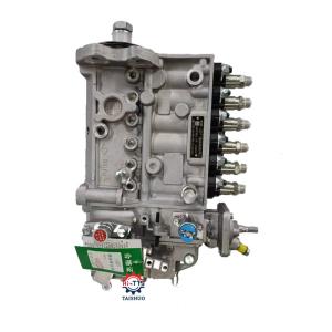 China 6CT 8.3 Diesel Engine High Pressure Fuel Injection Pump 3973900 wholesale