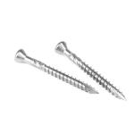 Pan Head Stainless Steel Oval Torx Deck Screw for Fast and Affordable Installati