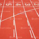 Waterproof EPDM Rubber Running Track by China EPDM Rubber Granules Supplier