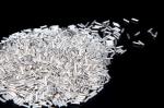 High Pruity 99.999% Silver Particle Pellets/ Grains/ Granules Price Per Kg