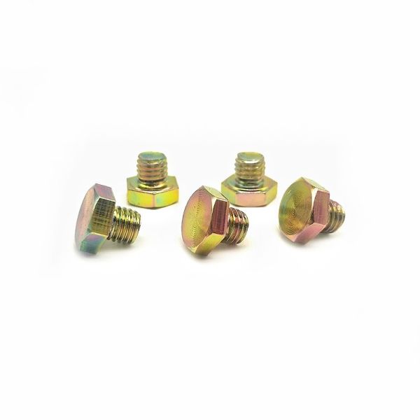 Custom External Hexagonal Decorative Screw Stainless Steel Nail Electrophoretic
