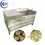 Small Investment Business Commercial Small Scale Plantian Lays Potato Chips