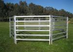 cattle panel