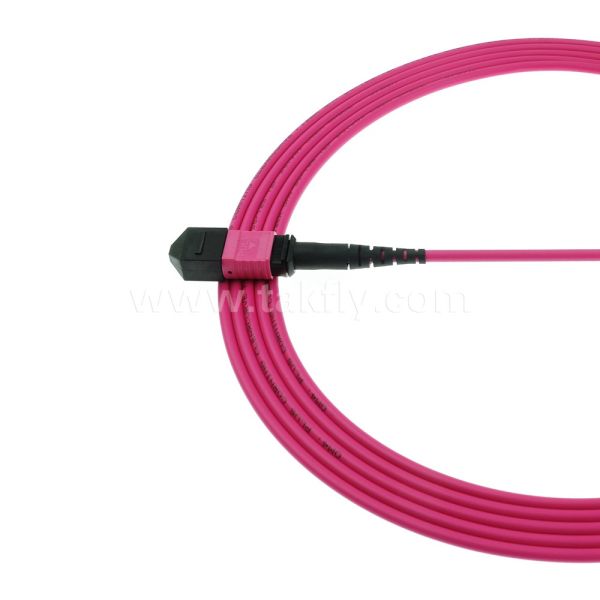 MPO/MTP Patchcord Singlemode Multimode LSZH 8f/12f/24f Fiber Optic Cable for Data Center FTTX
