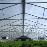 Single Span Tunnel Blackout System Hydroponic Light Deprivation Greenhouse