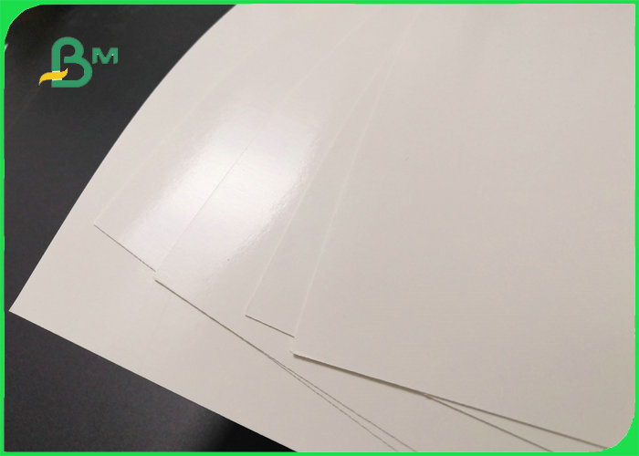 300gsm + 15g PE White Recyclable Paper For Lunch Boxes Greaseproof 70 x 100cm
