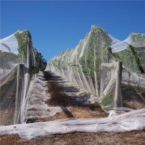 China Anti hail net, agricultural protection net,hail nets, export to Yemen wholesale