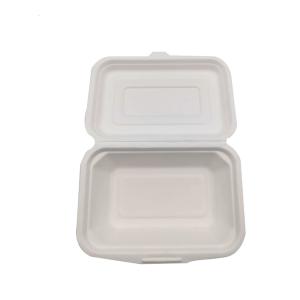 China Single Compartment Biodegradable Clamshell Box Disposable 8in 9 Inch wholesale