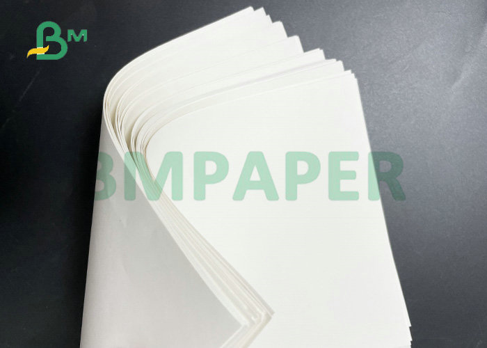 Reel Size Sheet Size 100GSM 120GSM Uncoated Ivory White Offset Paper
