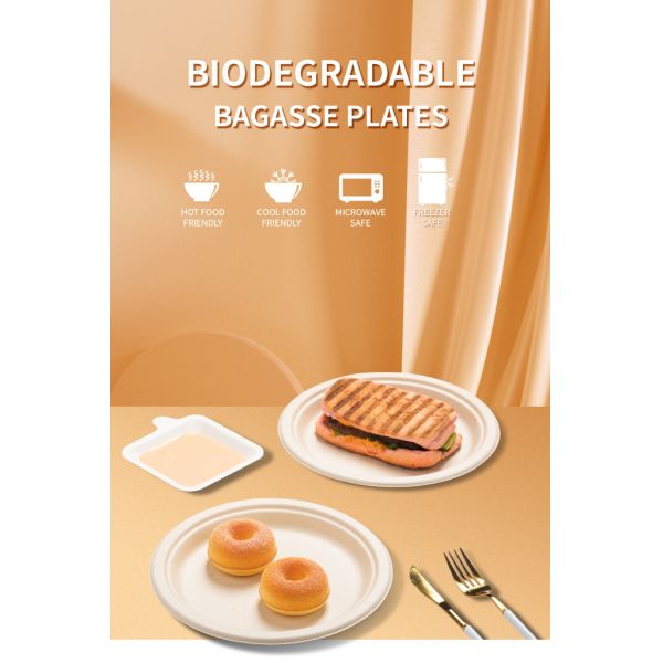 10 Inch * 3Gird Bagasse Round Plate Compostable Sugarcane Plates