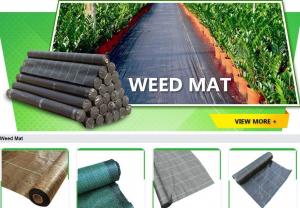 China Weed Barrier, weed fabric, Anti Grass Cloth,Ground Cover Vegetable Garden Weed Barrier Anti Uv Fabric Weed Mat,weed mat on sale