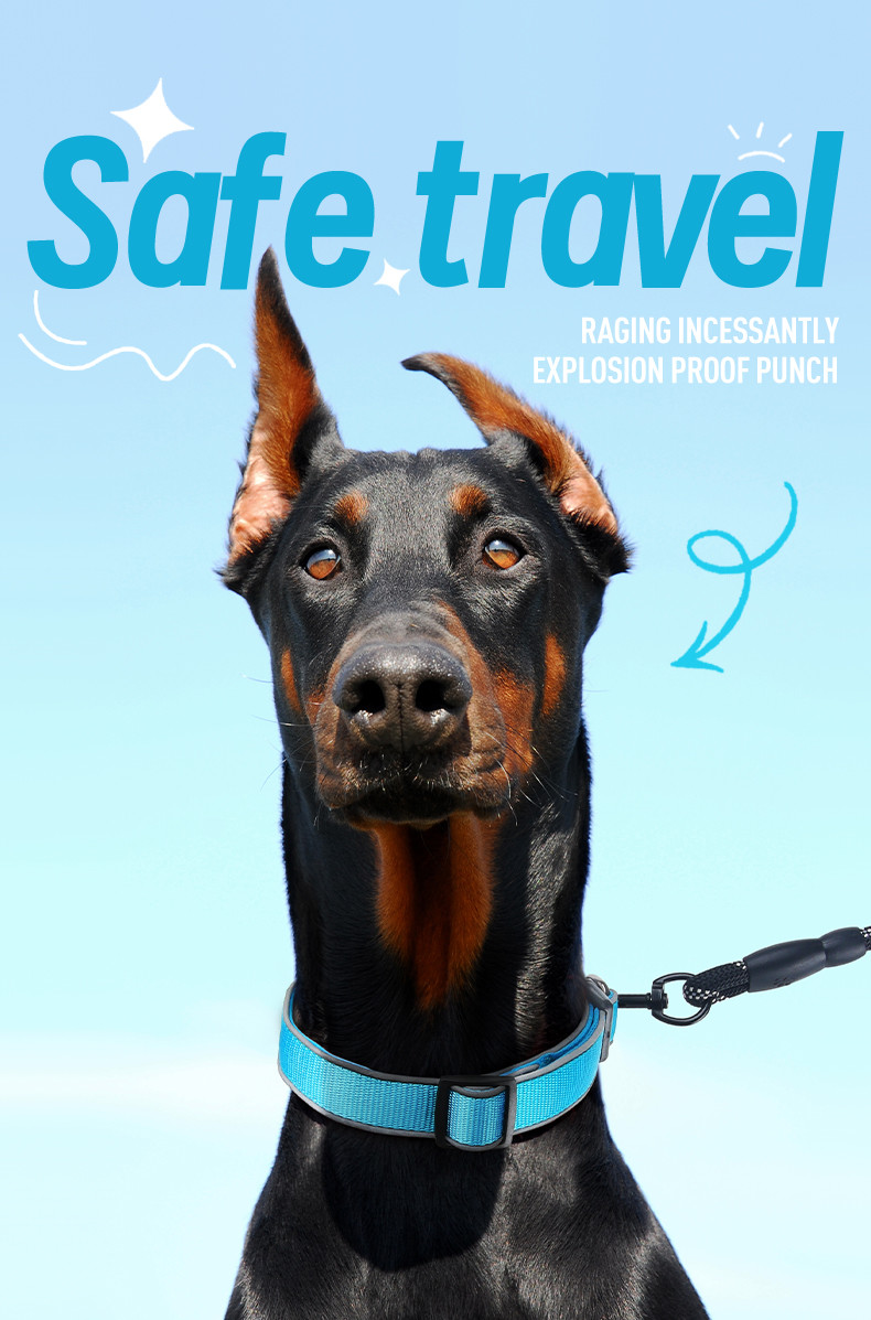 Pet Adjustable Dog Collar Reflective Collar For Medium And Large Dogs