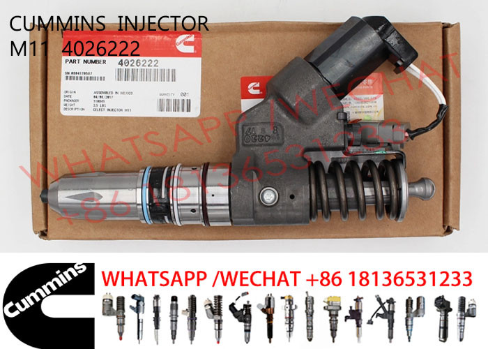 4026222 Common Rail M11 Diesel Engine Fuel Injector 4903319 4062851 3411845 3411754 3411756 3087772