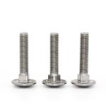 Stainless Steel 304 Neck Carriage Bolts DIN751 Standard And Customized