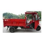 2500mm Wheelbase Bicycle 3 Wheel Transport Petrol Motorcycle for South Africa