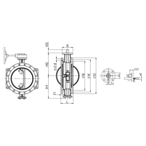 Disc Ring Double Eccentric Butterfly Valve SS316 Wore Gear Operated