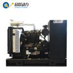 Quality guaranteed biogas generator set for sale