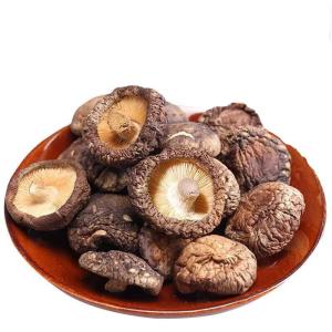 China Premium Flat Dried Shiitake Mushrooms Rich In Protein wholesale