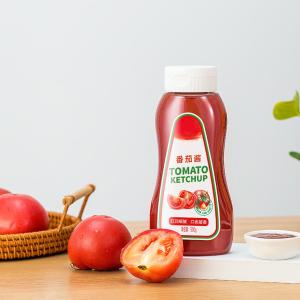 China 16oz Tomato Sauce Plastic Seasoning Bottles Odorless wholesale