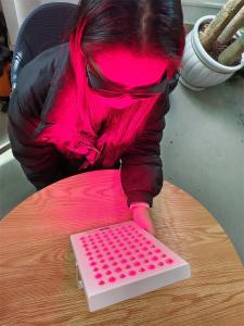 China Full Body 660nm 850nm Red Near Infrared Led Light Therapy Panel for Home Use Beauty wholesale