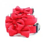 Cute Classic Ribbon Dog Collars , Designer Dog Collars Bamboo Hemp Material