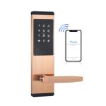 Wifi Tuya TTlock App Password Door Lock Electronic Smart Door Locks For 38-48mm