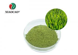 China Organic Barley Grass Juice  Powder / NOP EU Pure Green Barley Grass Powder wholesale