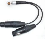 Straight Input Camera Audio Cable 10 Pin To XLR 3 Pin Female ODM