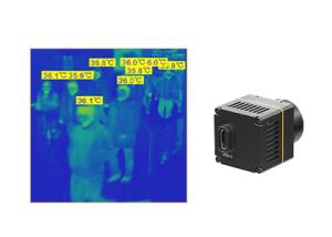 China 384x288 Uncooled Infrared Camera Module Typical NETD 50mk For Medical Diagnosis wholesale