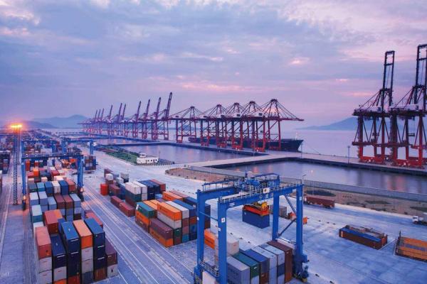 DDU DDP FBA FCL Ocean Freight From Shenzhen To Long Beach Los Angels United