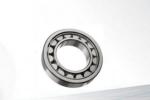 Full Complement Cylindrical Roller Bearings / High Speed Ball Bearings NNU4926M