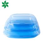 Takeaway Packaging Box Plastic For Good Food Square food container Plastic BLUE