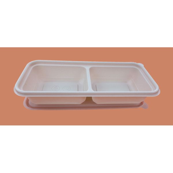 2 boxes with cover cornstarch lunch box disposable fast food packaging box wholesale