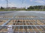 Greenhouse Seedbed Welded Mesh Fence Corrosion Resistance 30*130mm Mesh Hole