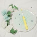 Automatic Whitening One Key Switch Oral Care Toothbrushes Customized Logo