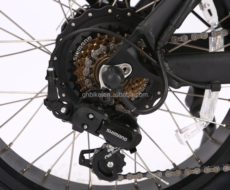 Disc Brake 20 Inch 750w 1000w Dual Battery Electric Fat Tire Mountain Bike Vintage 2 Seat Beach Cruiser Max 50KM/H ebike