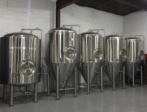 1000L Stainless Steel Fermentation Tank with Side Manway (ACE-FJG-V2)