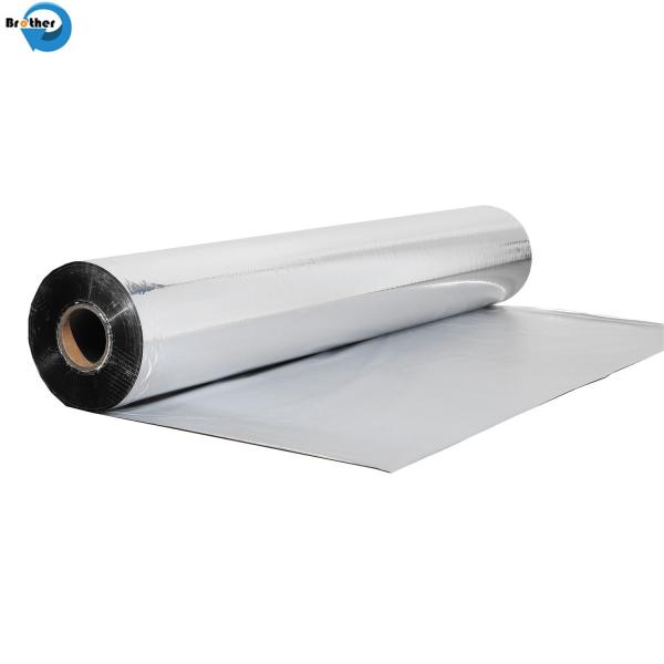Silver Metallized BOPP/CPP/Pet Film Aluminum Foil for Food Packing Candy Twist