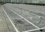 Seedbed System Greenhouse Rolling Benches For Multi Span Agricultural Greenhouse