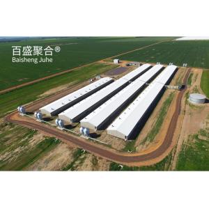 China Hot Dip Galvanised/Paint Spraying Steel Prefab Piggery House Design for Poultry Farm wholesale