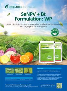 China Systemic Liquid Spray for Maize Crop Protection Against Fall Armyworm wholesale