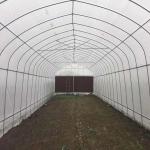 Anti Insect Sides Ventilation Galvanized Frame Tunnel Greenhouse Polyethylene