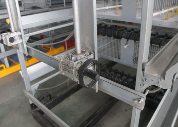 Small Brooding Baby Chick Cage / Layer Poultry Equipment 360 Degree Rotating