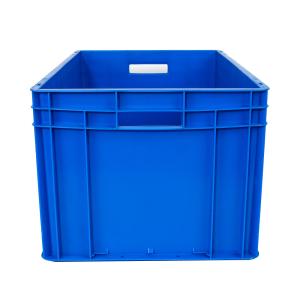 China PP/PE Plastic Crates for Agriculture Fruit Mushroom Vegetables Transportation Storage wholesale