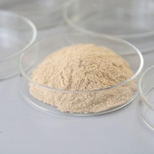 China PH Range 5.5-10.5 Industrial Enzyme Powder For Industrial Processes wholesale