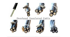 China 1 Core 2 Core 3 Core Aerial Bundled Cable Overhead Xlpe / Pvc Insulated wholesale