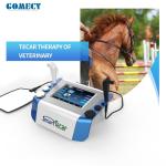 Portable High-Performance Radiofrequency Tecar Therapy Machine for Horse Sports