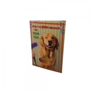 China Birthday Recordable Greeting Cards With Visual LED Lights 4C Printing Autoplay on sale