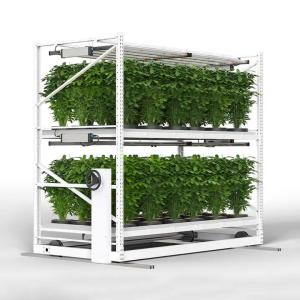 China Greenhouse Rolling Bench System Farming Seedling Bed 8/16/24/32ft wholesale