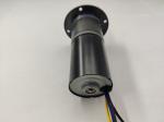 Robust Brushless DC Motor